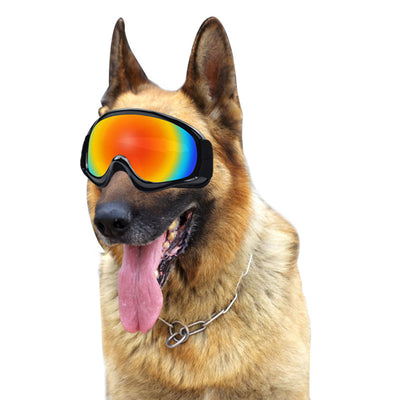 Pet Apparel & Accessories